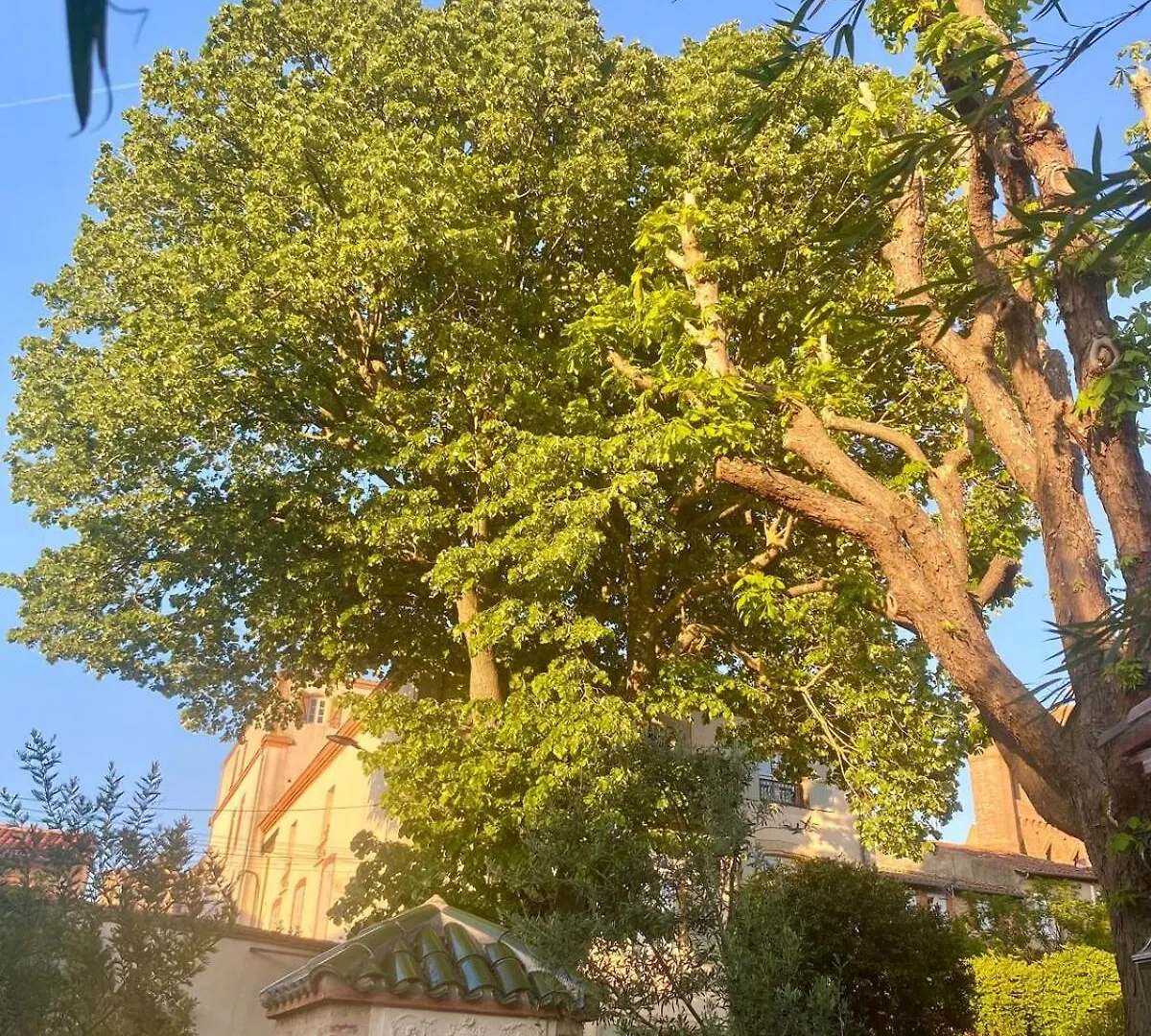 Casa de hóspedes Les Gites Du Tilleul Villefranche-de-Lauragais França